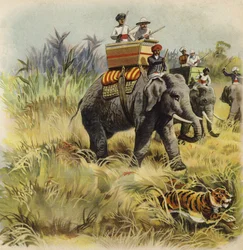 Prince of Wales tigerjakt i Indien (chromolitho)
